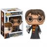 Funko pop harry potter harry potter con hedwig exclusivo 11915 - Imagen 1