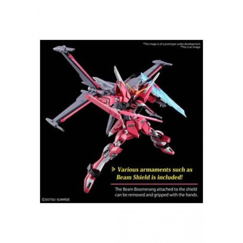 Hg 1 - 144 infinite justice gundam type ii re - run