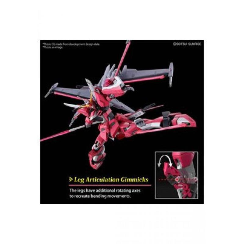 Hg 1 - 144 infinite justice gundam type ii re - run