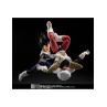 Vegeta - old battle clothes - fig. 14 cm dragon ball z sh figuarts collectors shop