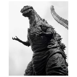 Godzilla 2016 the fourth ortho chromatic ver. fig. 18 cm godzilla sh monsters arts