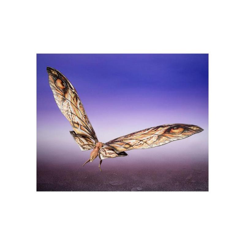Suko & mothra 2024 ver. fig. 7 - 29 cm godzilla vs kong the new empire sh monsterarts coll