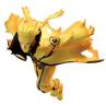 Figura banpresto naruto shippuden vibration stars naruto uzumaki vi 17cm