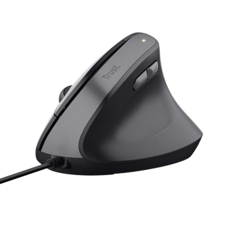 Raton trust bayo ii negro