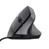 Raton trust bayo ii negro