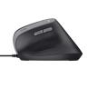Raton trust bayo ii negro