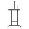 Soporte suelo con ruedas ewent vesa hasta 100 pulgadas 1000x600mm max 120kg