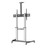 Soporte suelo con ruedas ewent vesa hasta 100 pulgadas 1000x600mm max 100kg