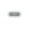 Adaptador usb tipo c a apple pencil