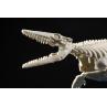 Maqueta bandai hobby plannosaurus mosasaurus