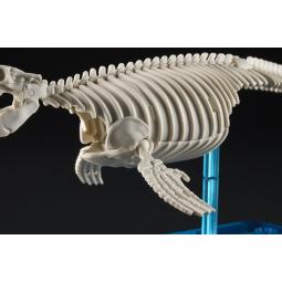 Maqueta bandai hobby plannosaurus mosasaurus