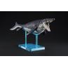 Maqueta bandai hobby plannosaurus mosasaurus