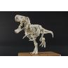 Maqueta bandai hobby plannosaurus tyrannosaurus