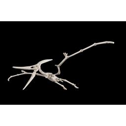 Maqueta bandai hobby plannosaurus pteranodon