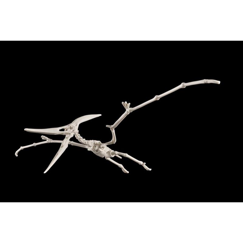 Maqueta bandai hobby plannosaurus pteranodon