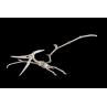 Maqueta bandai hobby plannosaurus pteranodon