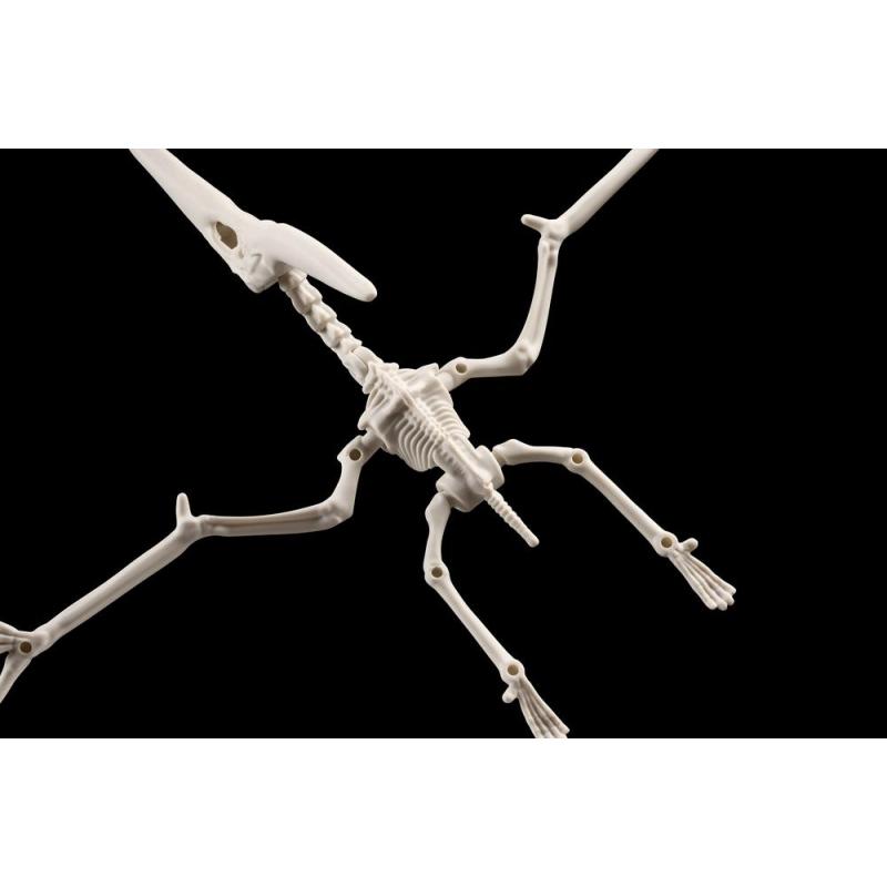 Maqueta bandai hobby plannosaurus pteranodon