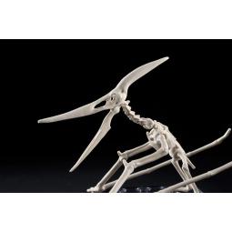 Maqueta bandai hobby plannosaurus pteranodon