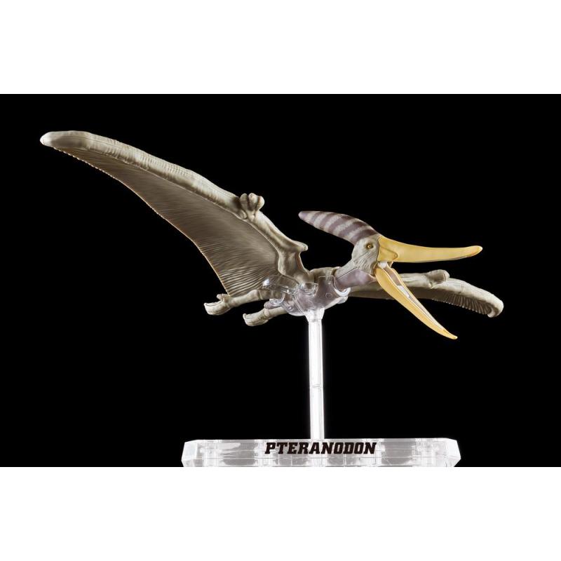 Maqueta bandai hobby plannosaurus pteranodon