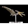 Maqueta bandai hobby plannosaurus pteranodon