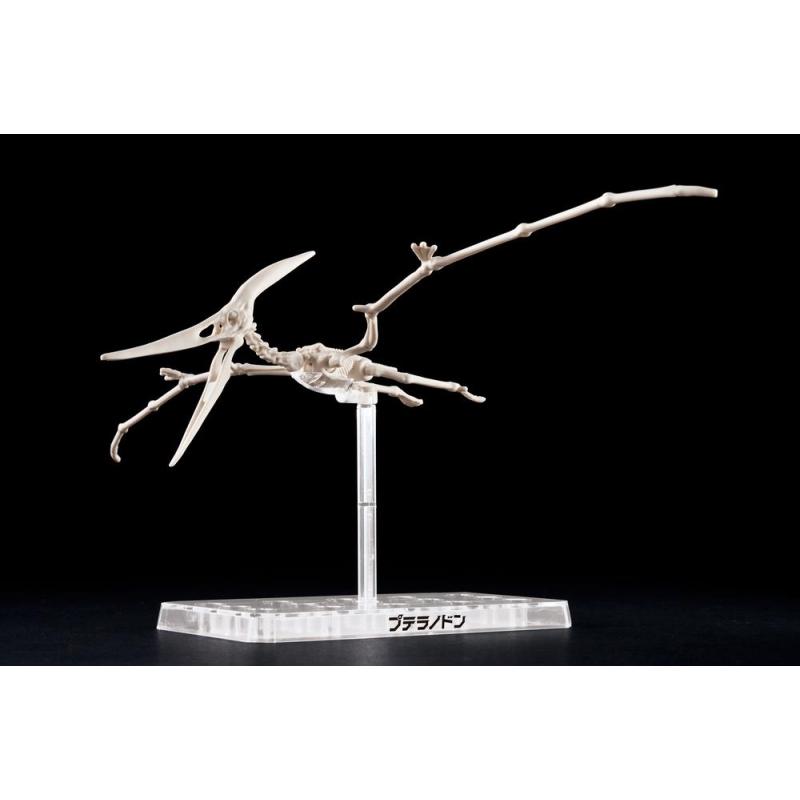 Maqueta bandai hobby plannosaurus pteranodon