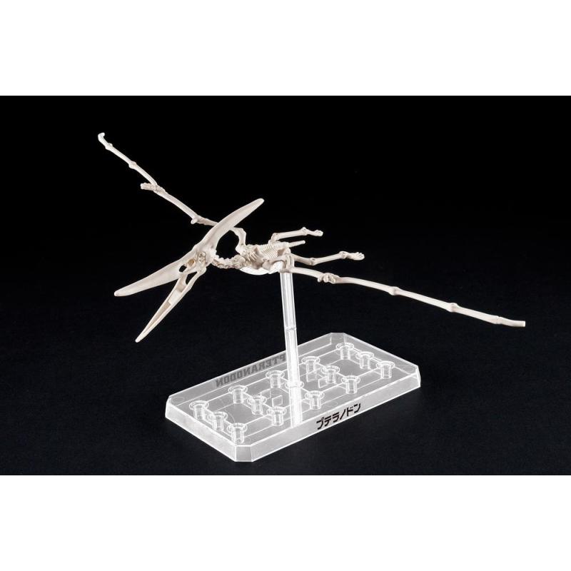 Maqueta bandai hobby plannosaurus pteranodon