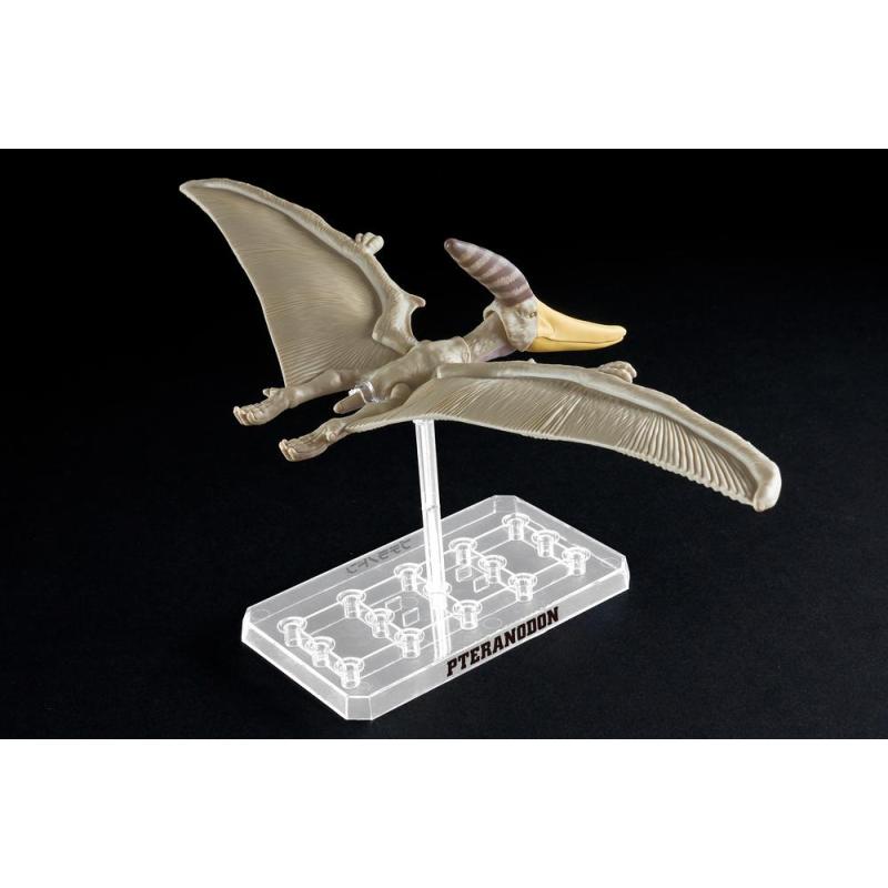 Maqueta bandai hobby plannosaurus pteranodon