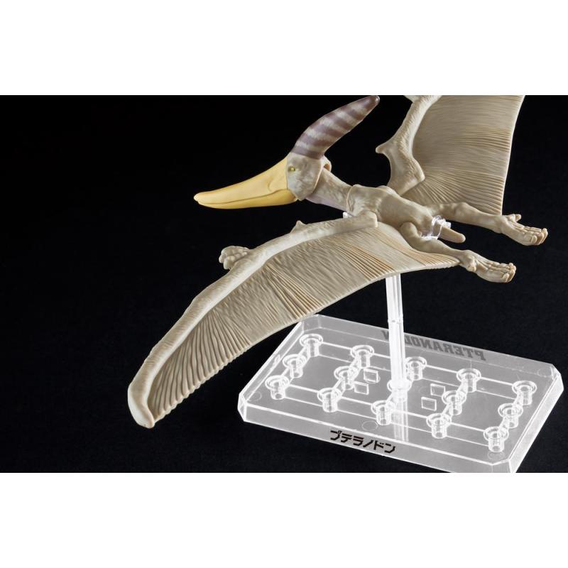 Maqueta bandai hobby plannosaurus pteranodon