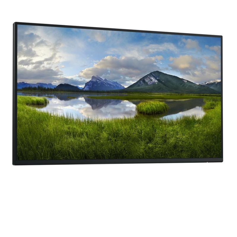 Monitor dell p2425h 24 pulgadas fhd 100hz