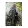 Aragorn figura 15 -5 cm the lord of the rings: the fellowship of the ring sh figuarts