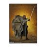 Aragorn figura 15 -5 cm the lord of the rings: the fellowship of the ring sh figuarts