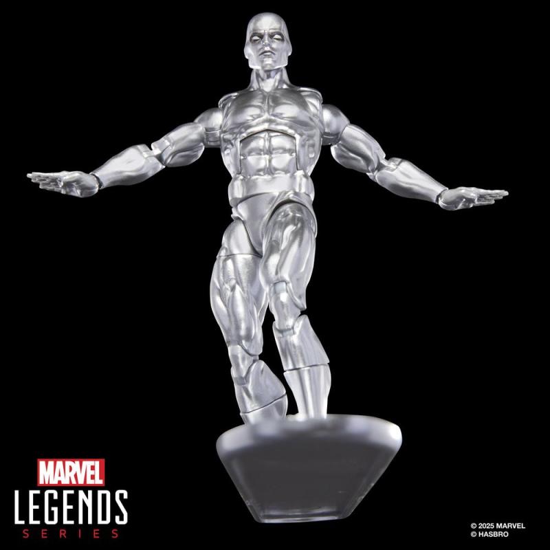 Figura hasbro marvel legends series the silver surfer