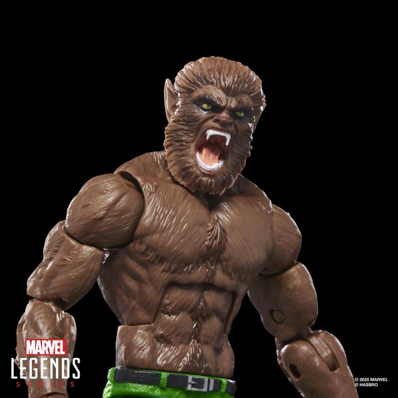 Figura hasbro marvel legends series werewolf by night