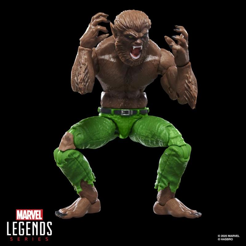 Figura hasbro marvel legends series werewolf by night