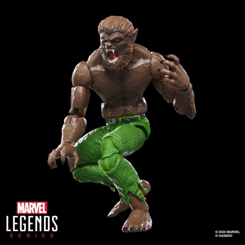 Figura hasbro marvel legends series werewolf by night