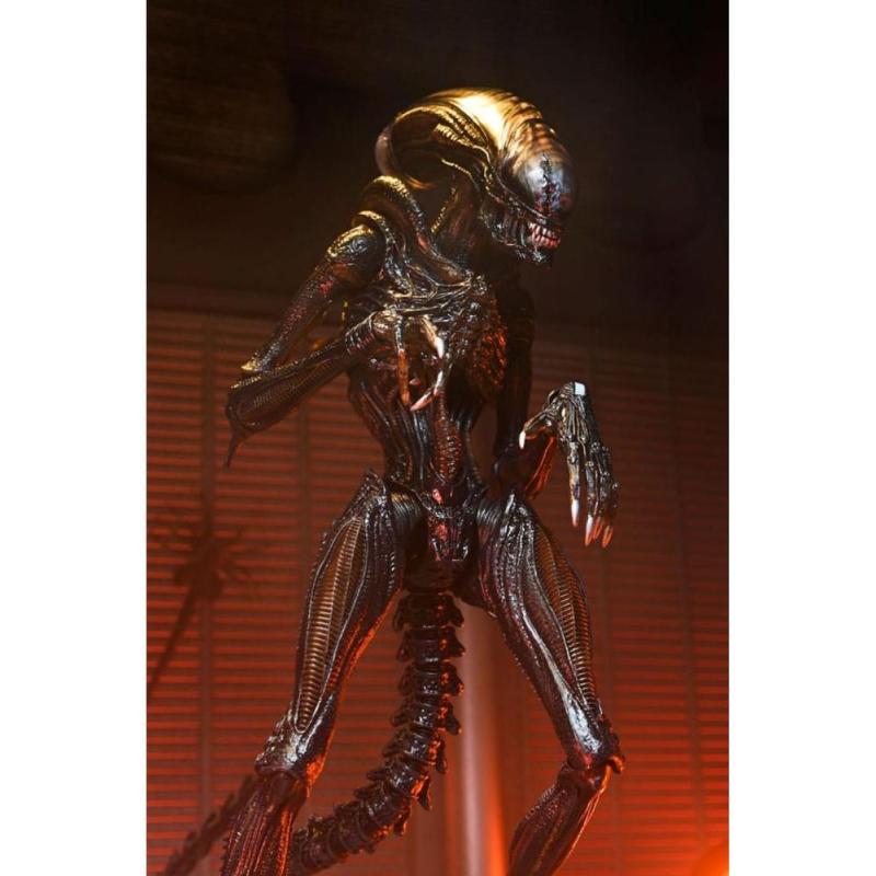 Ultimate scorched xenomorph scale action fig. 23 cm alien: romulus