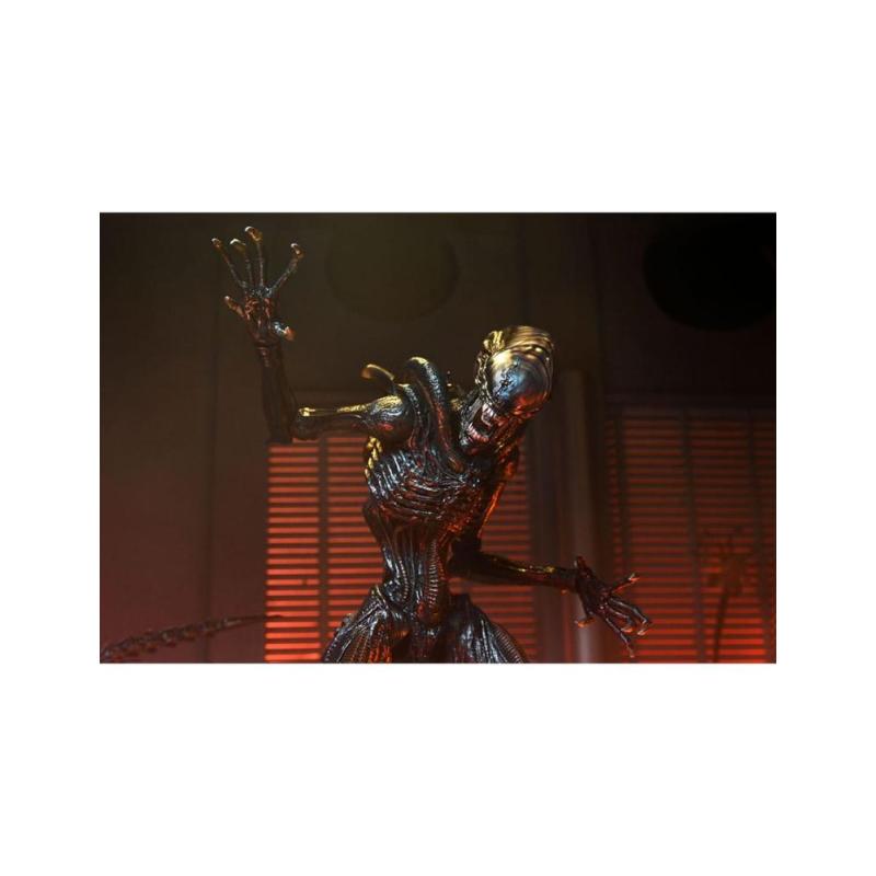 Ultimate scorched xenomorph scale action fig. 23 cm alien: romulus