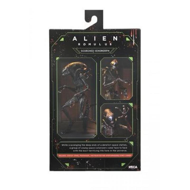 Ultimate scorched xenomorph scale action fig. 23 cm alien: romulus