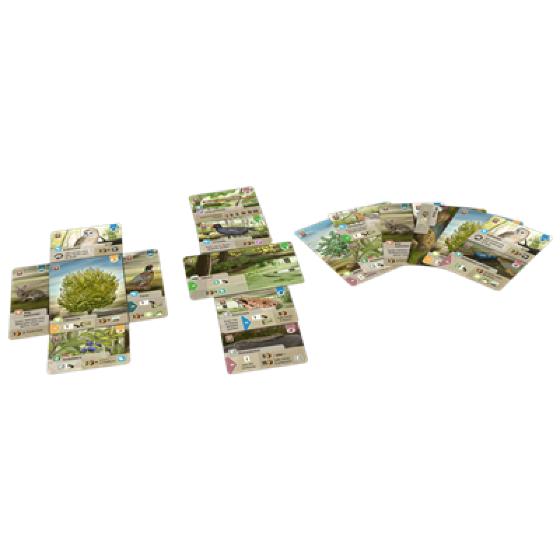 Juego de mesa forest shuffle dartmoor