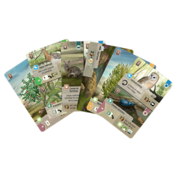 Juego de mesa forest shuffle dartmoor