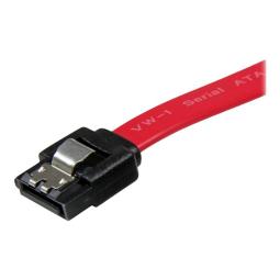 Cable sata startech 0.30m - macho - macho - rojo