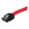 Cable sata startech 0.30m - macho - macho - rojo