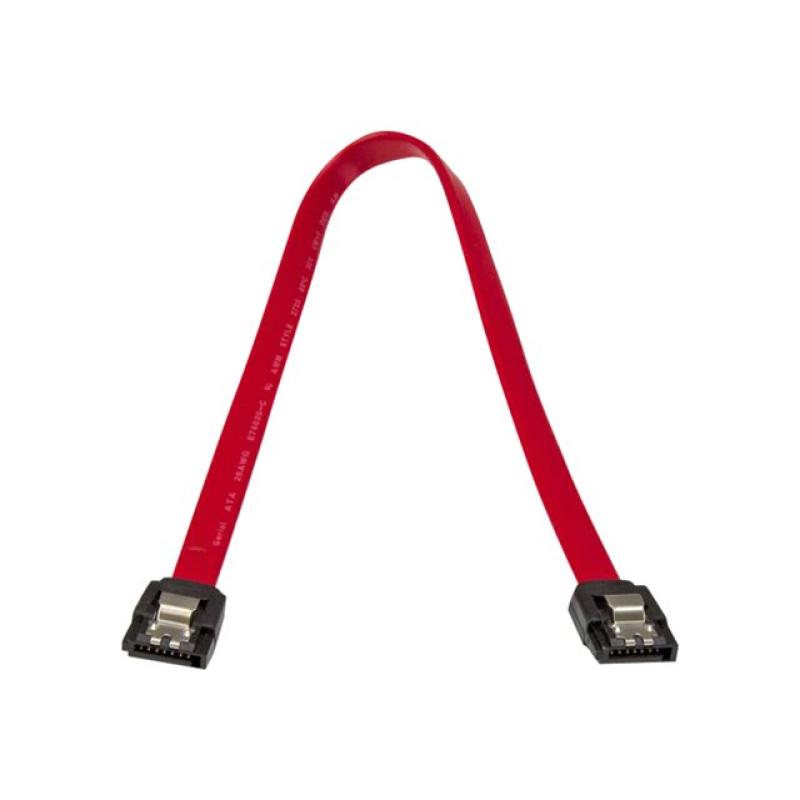 Cable sata startech 0.30m - macho - macho - rojo