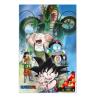 Poster 3d 38x58cm shenron and heroes dragon ball