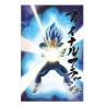 Poster 3d 58x38cm universe survival vegeta dragon ball super