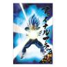 Poster 3d 58x38cm universe survival vegeta dragon ball super