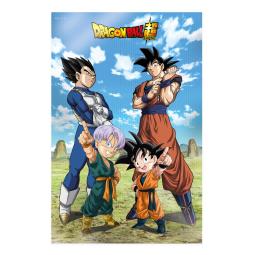 Poster 3d 58x38cm battle of gods goku vegeta family dragon ball super