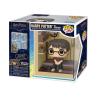 Funko pop harry potter in cupboard