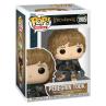 Funko pop movies lord of the rings peregrin rook