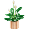 Lego botanicals lirio de la paz